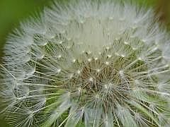 P1050890