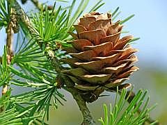 P1050911
