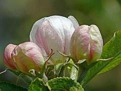 P1050927