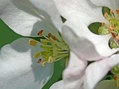 P1050933