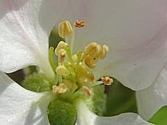 P1050938