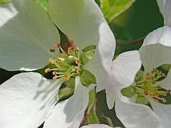 P1050960
