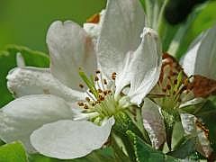 P1050969