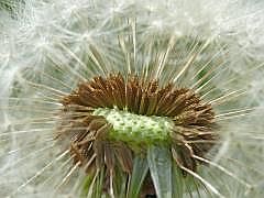P1060089
