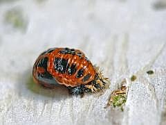 P1060139