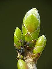 P1110204