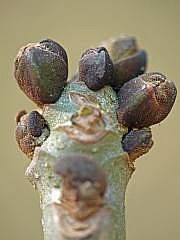 P1110211