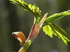 P1110217
