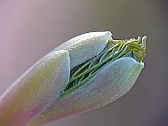 P1110220