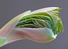 P1110221