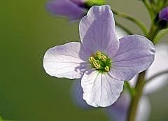 P1110229