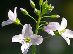 P1110232