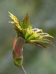 P1110254