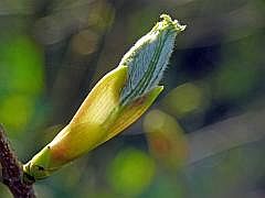 P1110255