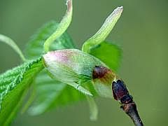 P1110270