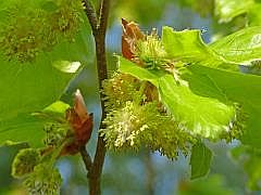 P1110311