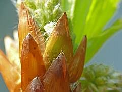 P1110315