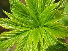 P1110320