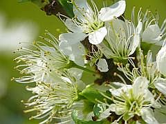 P1110323