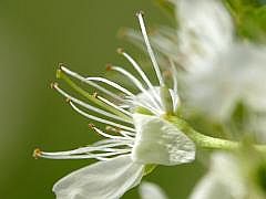 P1110326