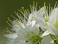 P1110341