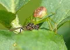 P1110396
