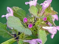 P1110411