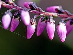 P1020471