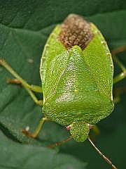 P1090004