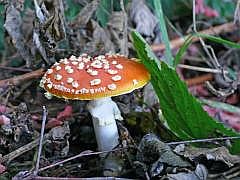 P1090085