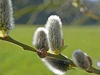 P1030437