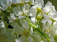 P1050666