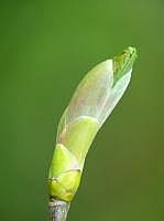 P1050726
