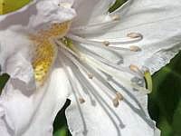 P1050907
