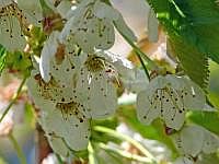 P1050908