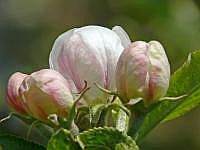 P1050927