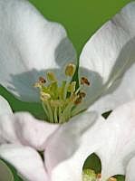P1050931