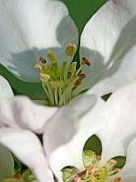 P1050933