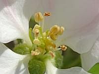 P1050938