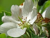 P1050969