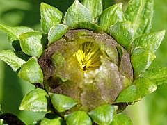 P1120811