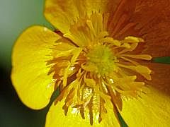 P1120823