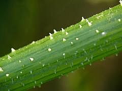 P1100068