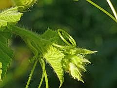 P1100079