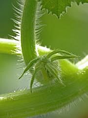 P1100082