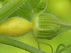 P1100083