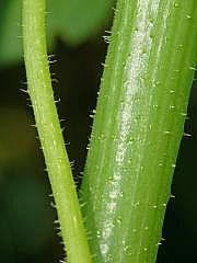 P1100096
