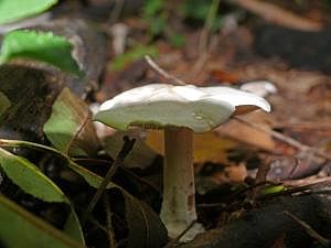 P1180901