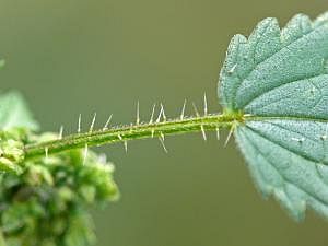 P1180938