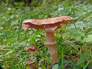 P1190021